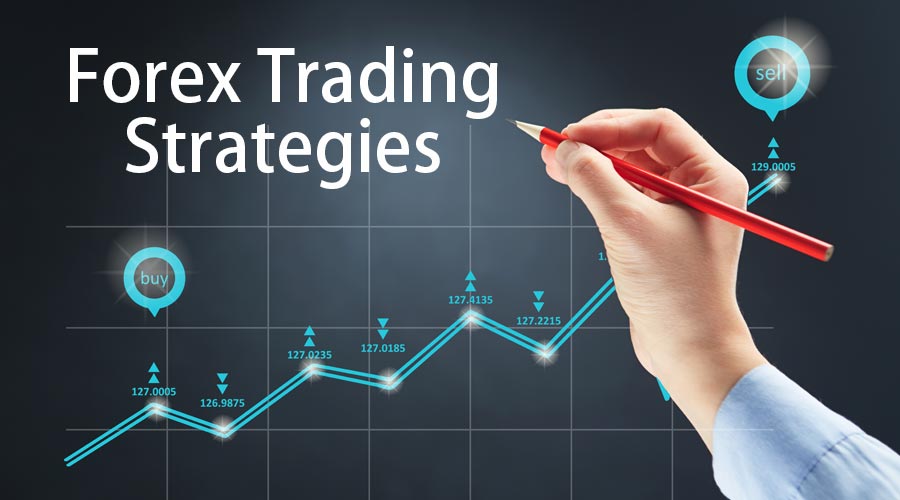 Questions to ask a forex trader